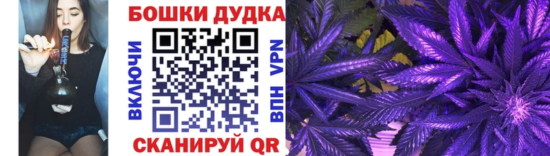 Продажа наркотиков Пласт Конопля  КОКАИН  Гашиш  гидра зеркало  МЕФ  A-PVP  АМФ 